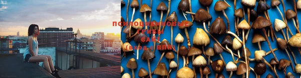 MDMA Premium VHQ Абаза