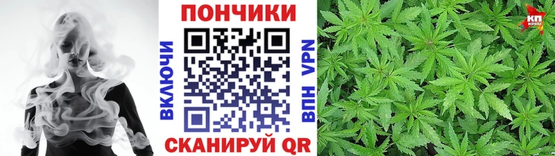 сколько стоит  Щёлкино  даркнет официальный сайт  МАРИХУАНА индика 